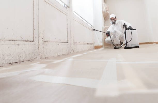 24/7 Emergency Attic Mold Removal experts in Lincroft, NJ