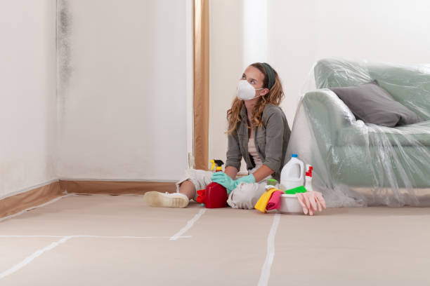 Reliable Attic Mold Removal contractor in Lincroft, NJ by WQB Mold Removal